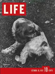LIFE Magazine - October 25, 1937